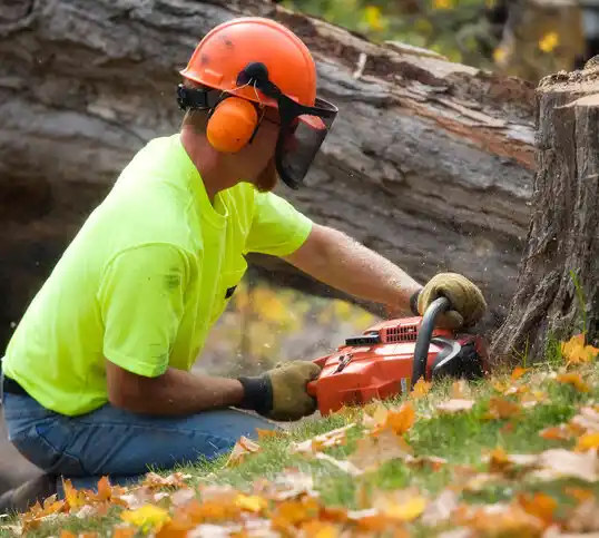 tree services Ocean City